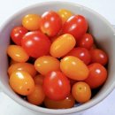 정양농장 이미지