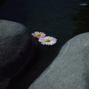 카톨릭대학교 이미지