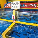 본점장터순대국 티스토리