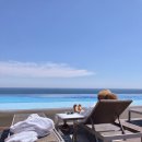 강릉경포물회 이미지