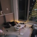 이래도안올래 | 쳇바퀴 겨울일기 ...