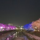 금산천 이미지