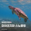 해변공원 야외화장실 사무동 | [미야코지마] 미야코지마 추천 스노클링 스팟 후기, 임야마린가든 보라어항 시기라해변 아라구스쿠해변
