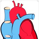 압구정웰 이미지