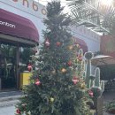 본본 | [부산 기장] 맛집 :: bonbon 본본 후기