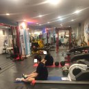 바이펫짐 이미지