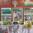 우포가시연꽃마을 이미지