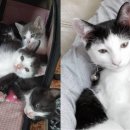 (주)집사의 하루 이미지