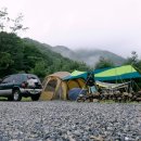 새막골 캠프 이미지