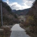 읍사무소진입로-읍사무소 이미지