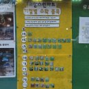 하계농장 | 보은 여름 수영장 펜션 산모랭이풀내음 농촌체험 7월