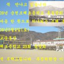 조례초등학교 이미지