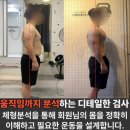 바디플래너