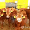 용고개농장 이미지