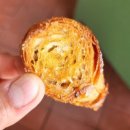 왓숑미용 이미지