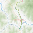 로타리약국 | 구례 산수유꽃축제 후기(개화상태 및 가는방법)