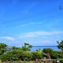 노을이야기 | 제주 애월 오션뷰 독채펜션 : 노을이야기펜션 에어비앤비 후기