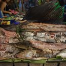 에이플러스 호스텔 이미지