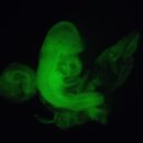 대한이화학 이미지