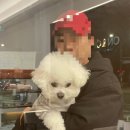 온앤드오프