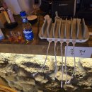 한라맥주 구리돌다리점 이미지