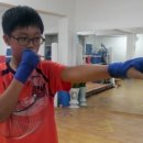 다윗복싱다이어트 이미지