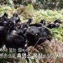 홍가네농장 티스토리