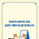 강아지 마음 이미지