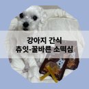 펫스낵스 이미지