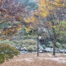 나무향기펜션 이미지