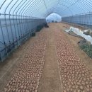 주빈농장 이미지