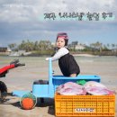 사진촬영 | 제주도 아기 스냅 | &#39;나나스냅&#39; - 아기 해녀 컨셉 사진 촬영 후기