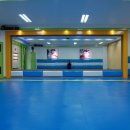 한국체대 양지 태권도 이미지