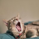 여인숙예스 이미지