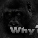 바른몸청담한의원 이미지