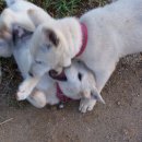 어울펜션 이미지