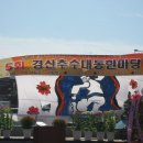 2008 경산추수대동한마당 이미지