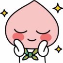 스파시스 이미지