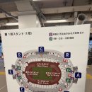 엠씨글로벌 | 2025 뮤직뱅크 글로벌 페스티벌 인 재팬 1일차 후기 국립경기장 좌석 무대 모습