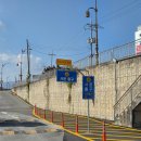 갈매기회센타 | 강릉여행 중앙시장| 강릉사임당오징어순대, 중화짬뽕빵, 베니닭강정 , 주문진 회포장