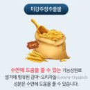 미강약국 이미지