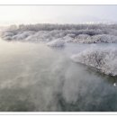 하얀물안개 이미지