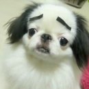 헬시박스