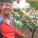금화농장 이미지