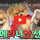 태오농장 이미지