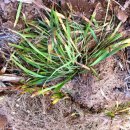 푸실농장 이미지