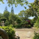 강아지정원 이미지