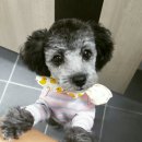 멍스하우스 이미지