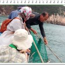 정치망민박 이미지