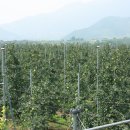 은비농장 이미지